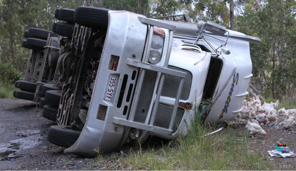 YET ANOTHER: This semi carrying chickens to Toowoomba toppled on the Mt Lindesay Rd near Legume. YET ANOTHER: This semi carrying chickens to Toowoomba toppled on the Mt Lindesay Rd near Legume.